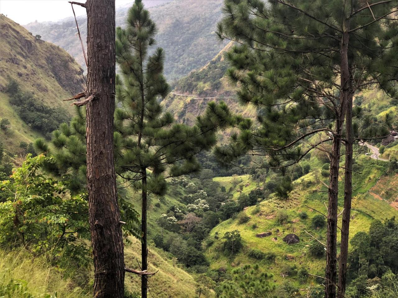 The Ella Valley Exterior foto